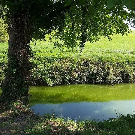 La Maison Du Moulin * Dosches