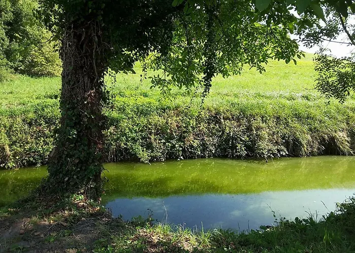 La Maison Du Moulin * Dosches